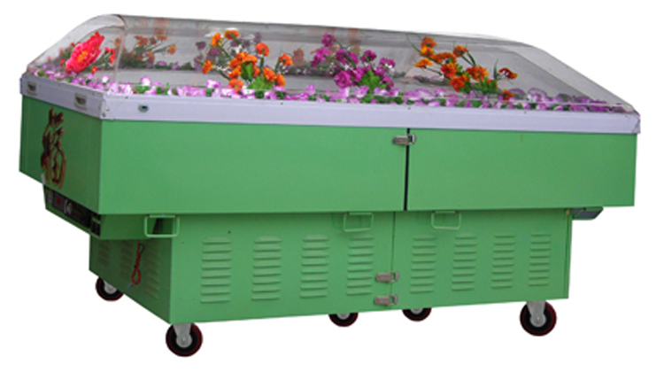 豪華水晶棺 豪華水晶棺