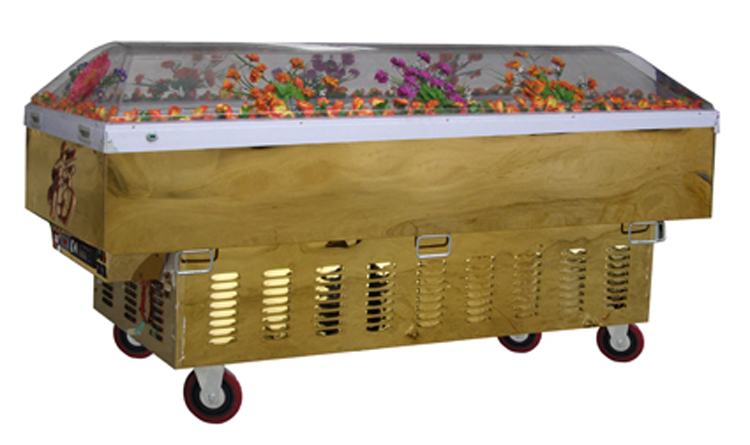 冰棺廠家 冰棺廠家